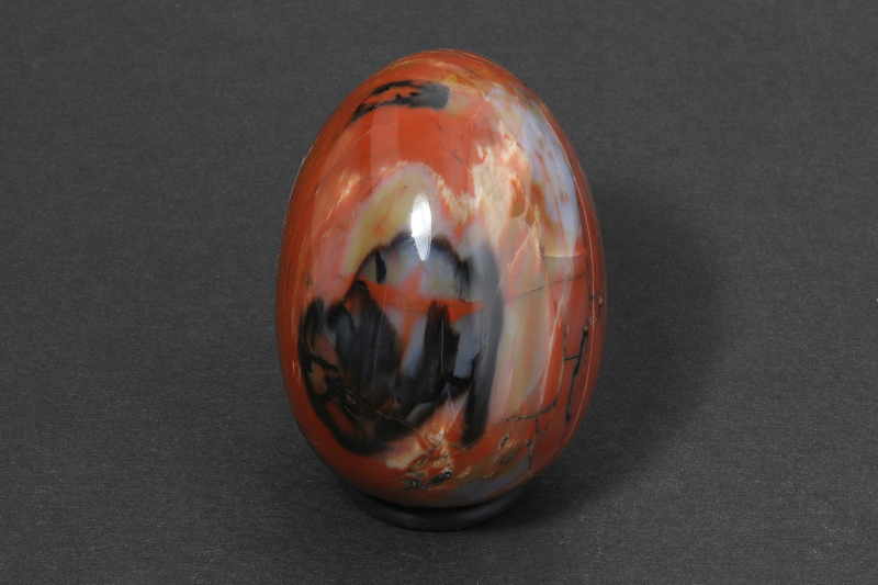 Petrified Wood Eggs (USA)